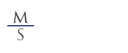 Michael Smith – Developer and Consultant Logo